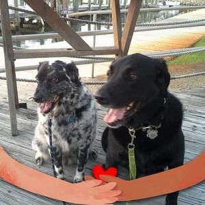 Meet your Posher, Kathryn